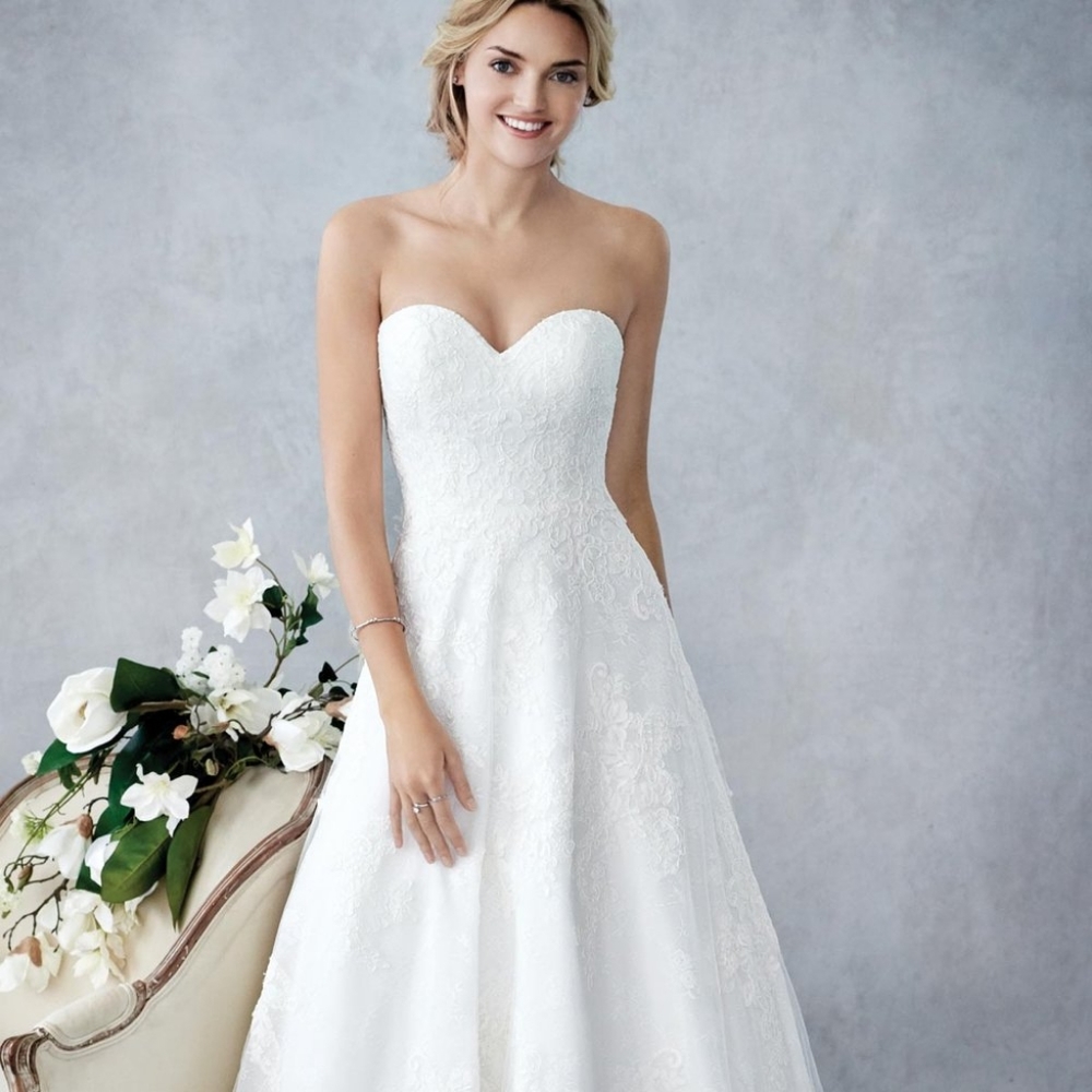 Ella Rosa BE436 Ivory Size 18 Drop Waist A-line, Lace Wedding Dress